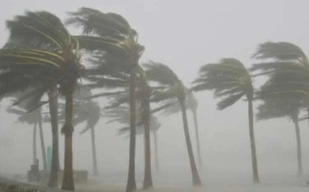 آندھی اور موسلادھار بارش کی پیش گوئی ، محکمہ موسمیات نے خبردار کردیا