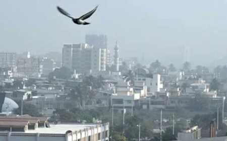 کراچی کا موسم آج بھی گرم اور مرطوب رہے گا جبکہ درجہ حرارت بھی بڑھنے کا امکان ہے۔