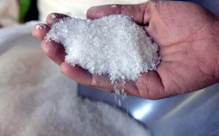 نائب وزیراعظم اسحاق ڈار کا چینی کی قیمت کم کرنے کا حکم