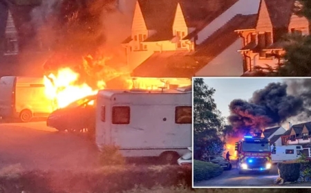 الیکٹرک کار کی وجہ سے گھر جل کر تباہ ہوگیا