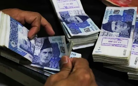 آئی ایم ایف سے بجٹ مذاکرات : تنخواہ دار طبقے کے لئے اہم خبر آگئی