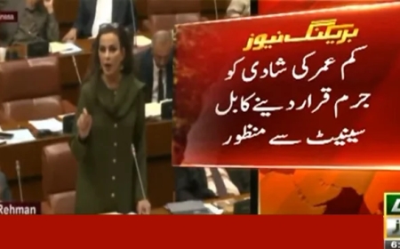 کم عمری کی شادی کو جرم قرار دینے کا بل منظور: ’یہ مذہبی معاملہ نہیں‘