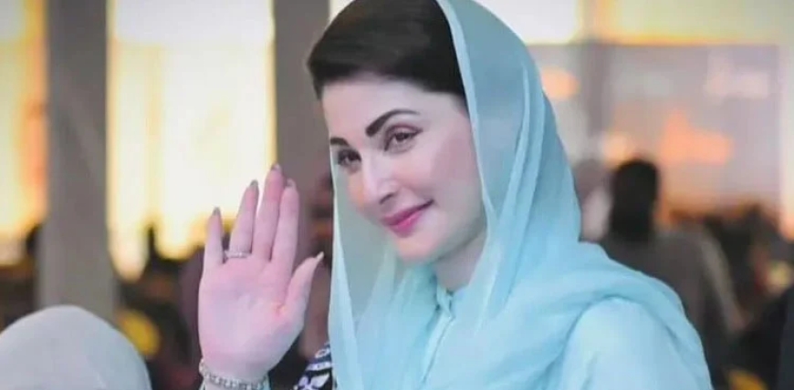 ’جنگ کے دنوں میں مریم نواز نے سب سے متحرک وزیر اعلیٰ کا کردار ادا کیا‘