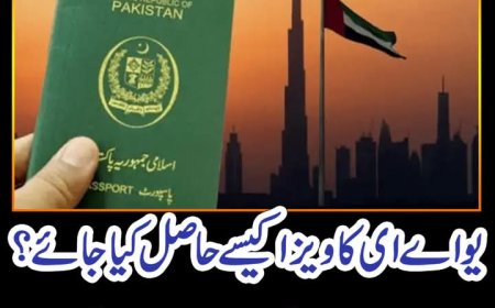 یو اے ای کا ویزا کیسے حاصل کیا جائے؟ آسان نیا طریقہ سامنے آگیا