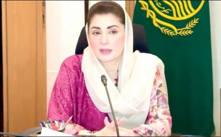 وزیراعلیٰ پنجاب کا ٹیکس، ریسٹورنٹس اور شادی ہالوں سے متعلق بڑا فیصلہ