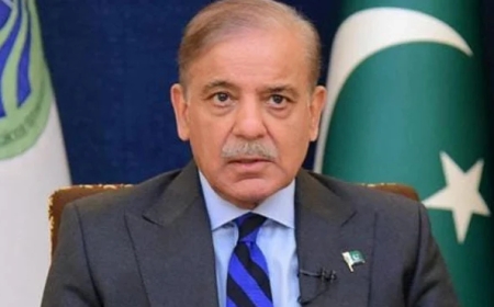 وزیر اعظم کا چیئرمین سینیٹ اور اسپیکر قومی اسمبلی کی تنخواہوں میں اضافے کا نوٹس