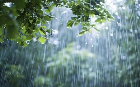 مون سون بارشیں 15 جون سے شروع ، نیا سپل 27 جون کو داخل ہونے کا امکان