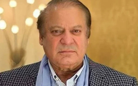 پاکستان واپس ترقی کے راستے پر چل پڑا ہے، نواز شریف