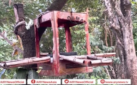 پرندوں کی خدمت کرنے کی بہترین مثال، کوٹلی کے نوجوان کا شاندار کارنامہ