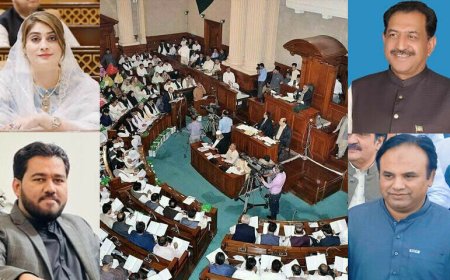 پنجاب اسمبلی: اپوزیشن کے 4 قائمہ کمیٹیوں کے چیئرمینوں کیخلاف تحریک عدم اعتماد کامیاب