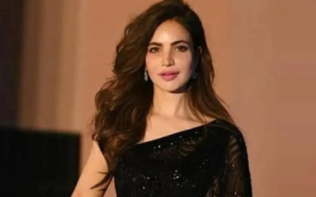 ’حمیرا اصغر مالی بحران کا شکار تھیں، 10 افراد کو واٹس ایپ پر ’ہیلو‘ کہا کسی نے جواب نہ دیا‘