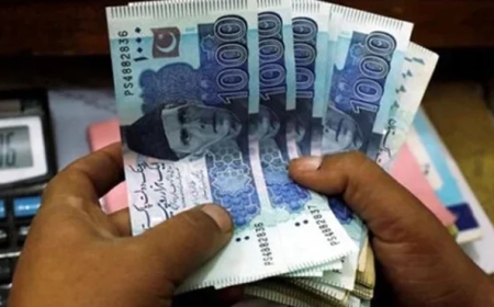 40 سے 60 ہزار روپے ماہانہ! نوجوانوں کے لیے بڑی خوشخبری آگئی