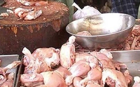 کراچی میں مرغی کی قیمتوں میں ہوشربا اضافہ، سندھ حکومت نے نوٹس لےلیا