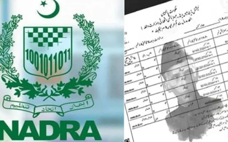 نادرا سے بچے کا ب فارم بنوانے کا آسان طریقہ