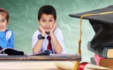 بینظیر تعلیمی وظائف پروگرام میں رجسٹریشن کا آسان طریقہ