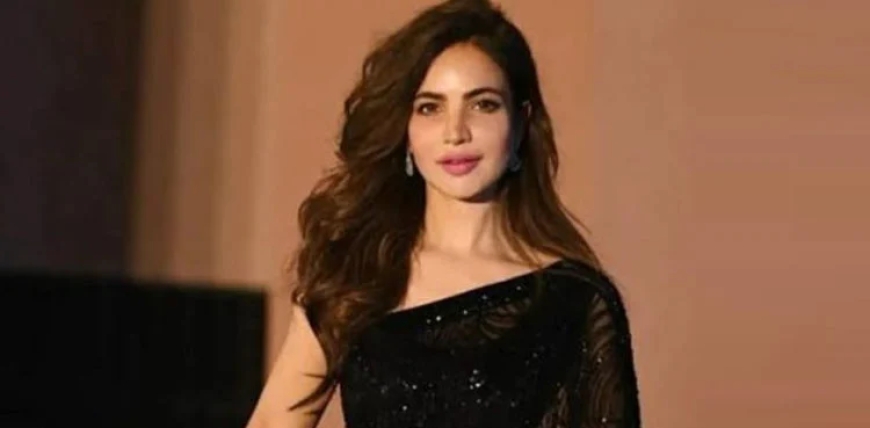 ’حمیرا اصغر مالی بحران کا شکار تھیں، 10 افراد کو واٹس ایپ پر ’ہیلو‘ کہا کسی نے جواب نہ دیا‘