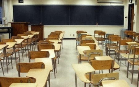 اسکولوں کی چھٹیوں میں اضافہ کیوں کیا؟ وزیر تعلیم نے وجہ بتادی