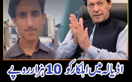 اڈیالہ میں اہلکار کو 10 ہزار روپے دے کر عمران خان کو دیکھا، نوجوان کا دعویٰ