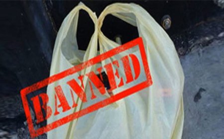 بلوچستان بھر میں پلاسٹک بیگز پر پابندی عائد کردی گئی