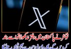 ٹوئٹر نے پاکستان میں دفتر نہ کھولا تو اسے بند کردیں گے، پھر وی پی این سے بھی نہیں چلے گا، وزیر مملکت