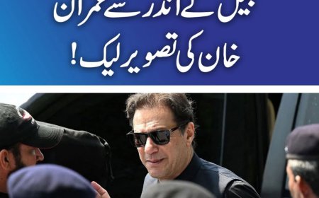 عمران خان کی جیل میں پُش اَپس کرتے ہوئے تصویر