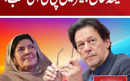 اگرعلیمہ خان پارٹی کو لیڈ کر رہی ہیں تو ان کو چیئرمین بنا دیا جائے، محمود مولوی