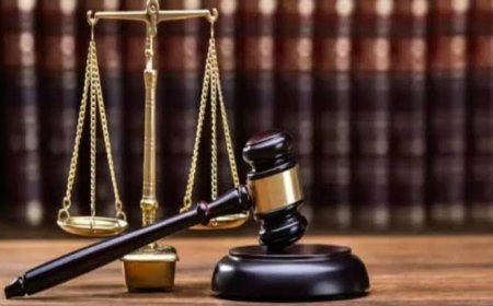 Major US Court Ruling on Trump ImmigrationWhat Happened? Full Court Ruling Details Policy