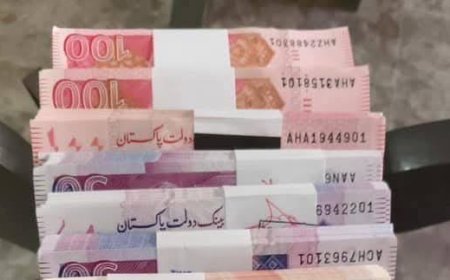 تعلیم یافتہ بے روزگار نوجوانوں کیلئے 12 ہزار روپے الاؤنس دینے کا فیصلہ