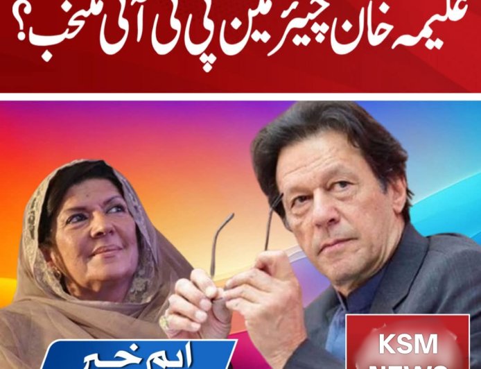 اگرعلیمہ خان پارٹی کو لیڈ کر رہی ہیں تو ان کو چیئرمین بنا دیا جائے، محمود مولوی