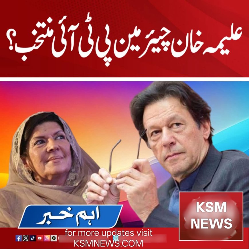 اگرعلیمہ خان پارٹی کو لیڈ کر رہی ہیں تو ان کو چیئرمین بنا دیا جائے، محمود مولوی