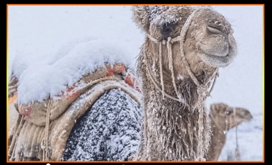 سعودی عرب میں سردی کا 17 سالہ ریکارڈ ٹوٹ گیا