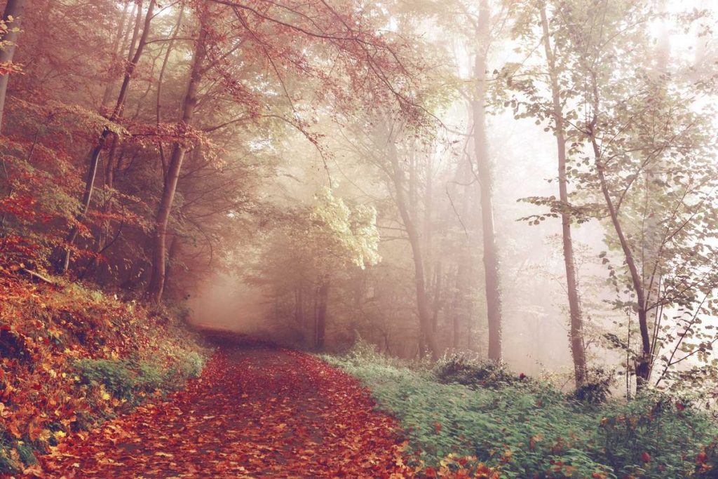 10 Game Online Terbaik 2025 yang Seru Dimainkan!