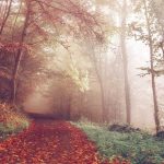 10 Game Online Terbaik 2025 yang Seru Dimainkan!