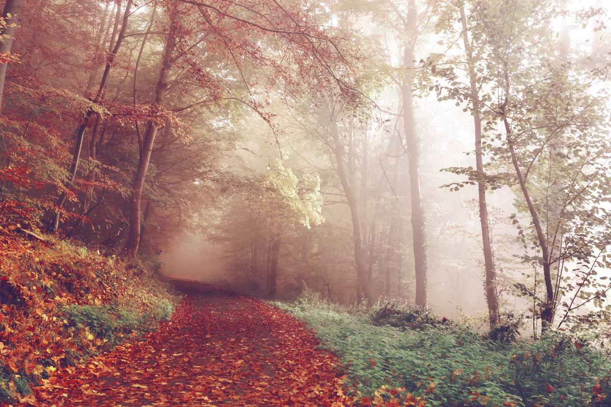 10 Game Online Terbaik 2025 yang Seru Dimainkan!