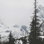 Rekomendasi Game MMORPG PC Penghasil Uang Terbaru 2026 yang Terbukti Membayar