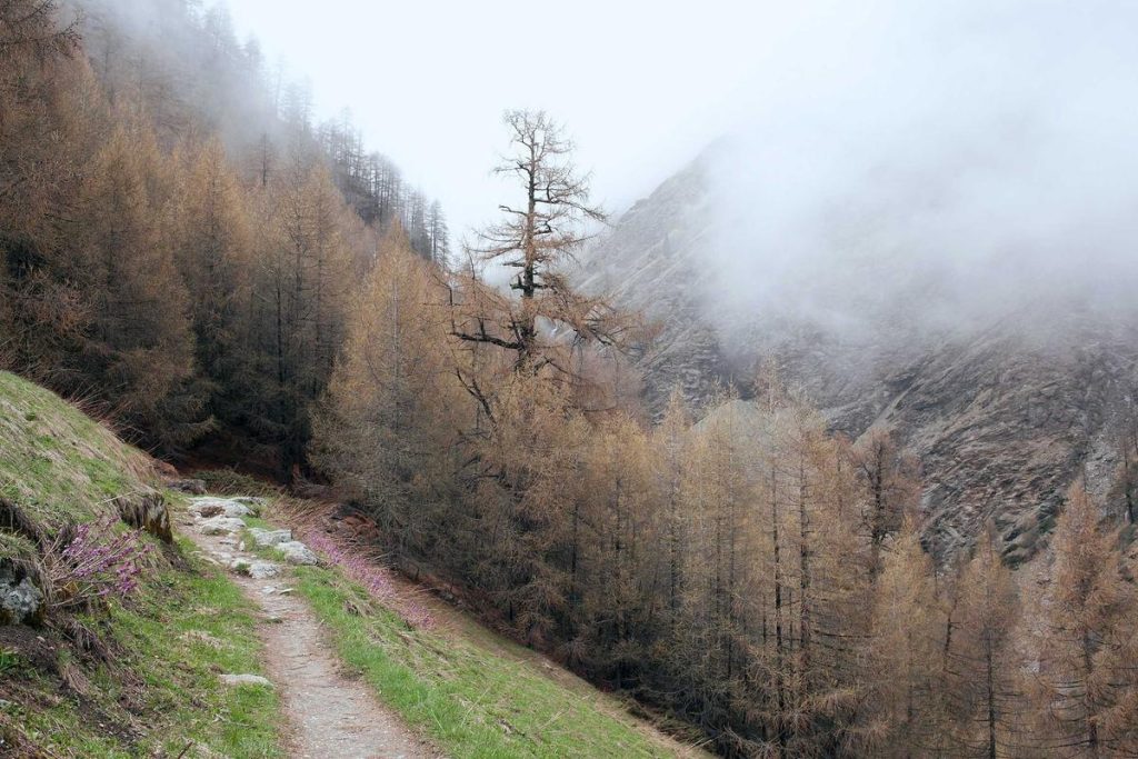 Ragnarok Online 3 Siap Debut, Nostalgia Game Warnet