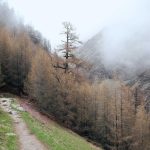 Ragnarok Online 3 Siap Debut, Nostalgia Game Warnet