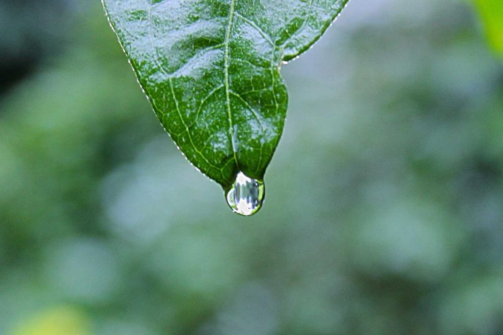 7 Rekomendasi Game Android Offline Terbaru 2026 Paling Seru untuk Menemani Akhir Pekan Tanpa Kuota Internet – IndoGamers