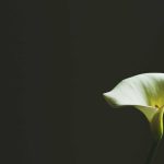 Pembaruan Bansos PKH dan BPNT Setiap Triwulan Bawa Dampak Baru bagi KPM serta Ungkap Transaksi Game Online Ilegal