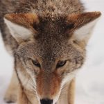 Bikin Heboh Akhir Tahun! 5 Game Mobile Terbaru 2025 yang Wajib Kamu Coba (Online & Offline) – IndoGamers