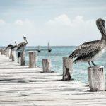 Bikin Heboh Akhir Tahun! 5 Game Mobile Terbaru 2025 yang Wajib Kamu Coba (Online & Offline) – IndoGamers