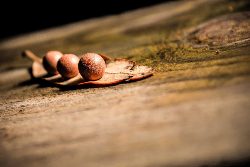 Bikin Heboh Akhir Tahun! 5 Game Mobile Terbaru 2025 yang Wajib Kamu Coba (Online & Offline) – IndoGamers