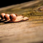 Bikin Heboh Akhir Tahun! 5 Game Mobile Terbaru 2025 yang Wajib Kamu Coba (Online & Offline) – IndoGamers