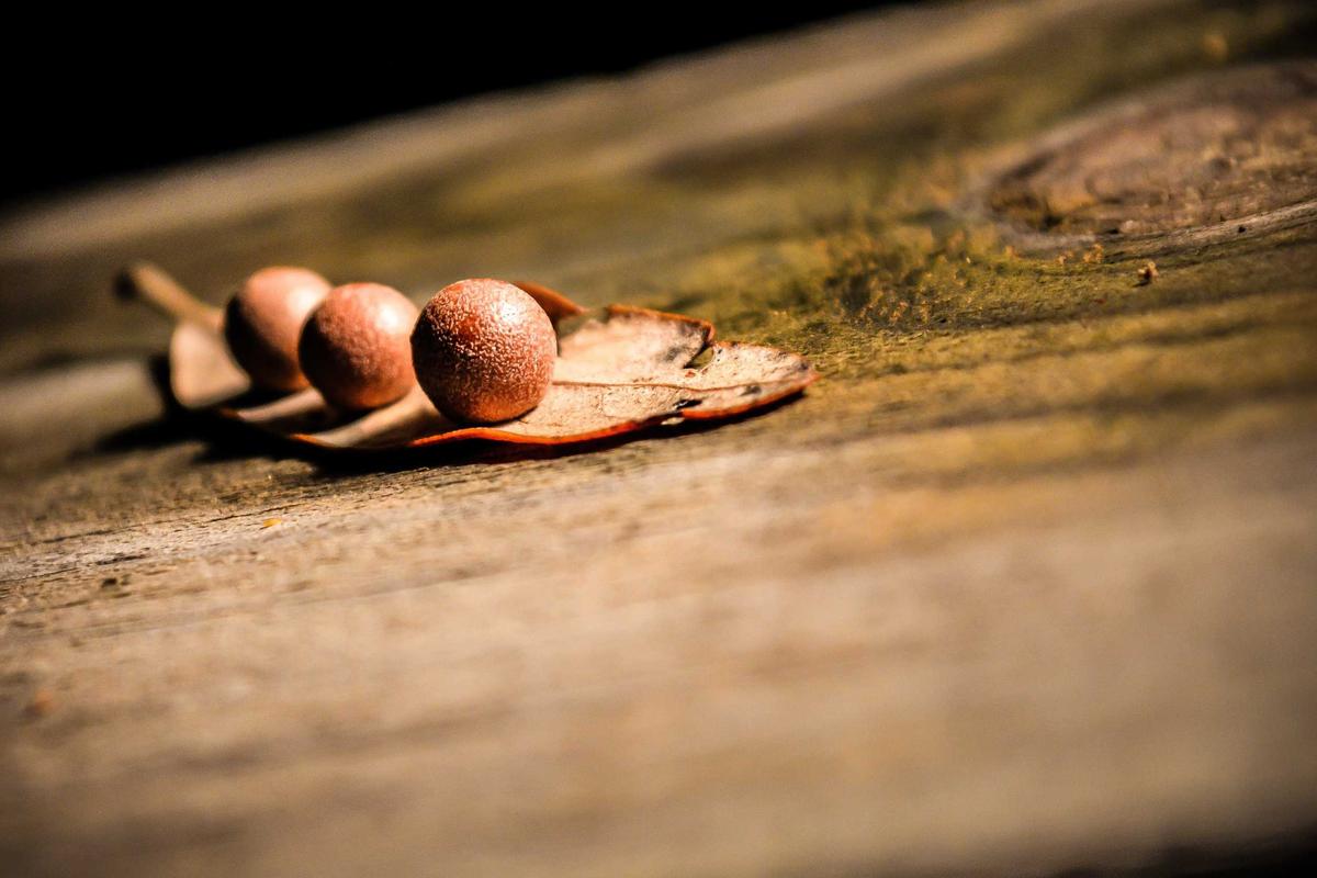 Bikin Heboh Akhir Tahun! 5 Game Mobile Terbaru 2025 yang Wajib Kamu Coba (Online & Offline) – IndoGamers