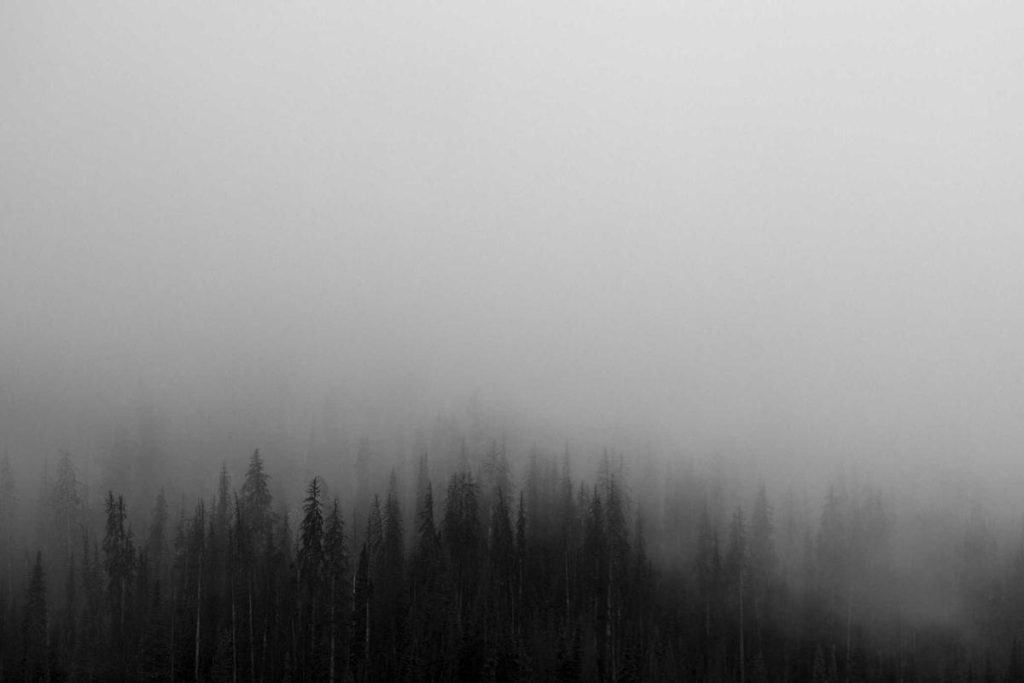 Bikin Heboh Akhir Tahun! 5 Game Mobile Terbaru 2025 yang Wajib Kamu Coba (Online & Offline) – IndoGamers