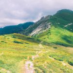 Ada Board Game Mobile Terbaru, Line GetRich Go