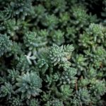 Bikin Heboh Akhir Tahun! 5 Game Mobile Terbaru 2025 yang Wajib Kamu Coba (Online & Offline) – IndoGamers