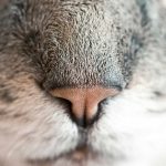 Bikin Heboh Akhir Tahun! 5 Game Mobile Terbaru 2025 yang Wajib Kamu Coba (Online & Offline) – IndoGamers