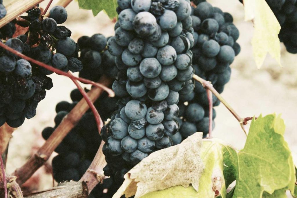 Bikin Heboh Akhir Tahun! 5 Game Mobile Terbaru 2025 yang Wajib Kamu Coba (Online & Offline) – IndoGamers