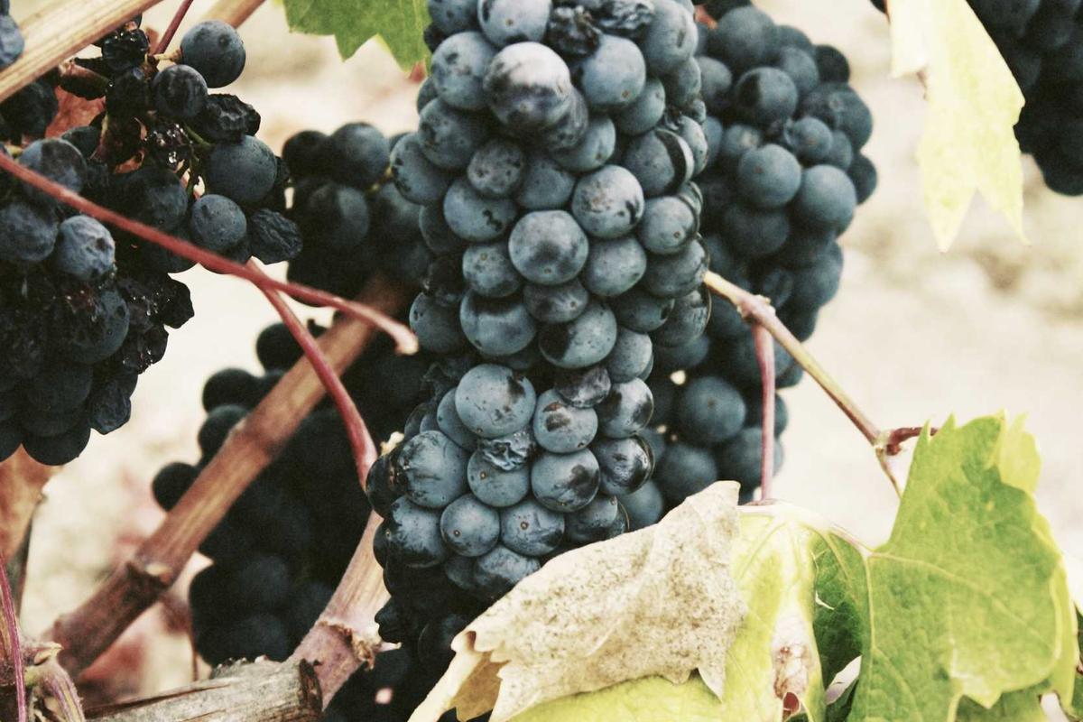 Bikin Heboh Akhir Tahun! 5 Game Mobile Terbaru 2025 yang Wajib Kamu Coba (Online & Offline) – IndoGamers